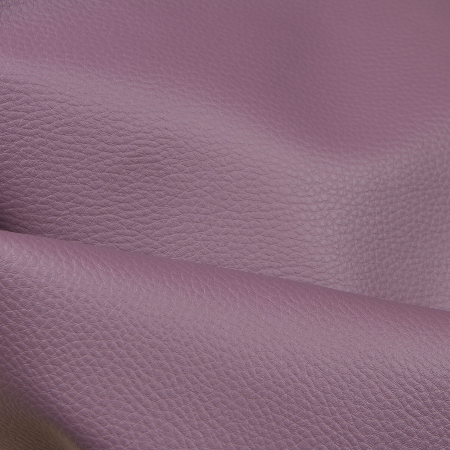 Cannes mauve
