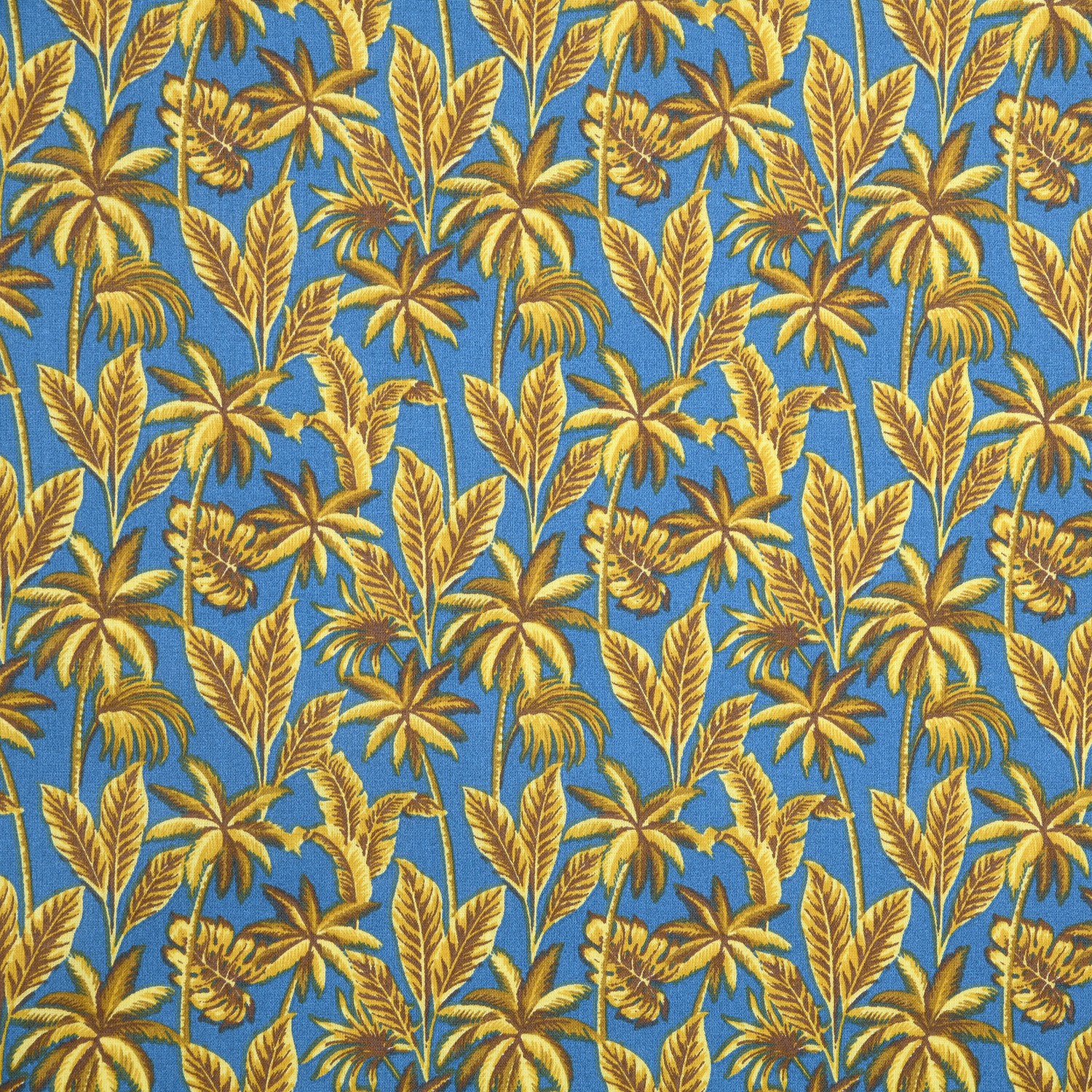 nussa bleu