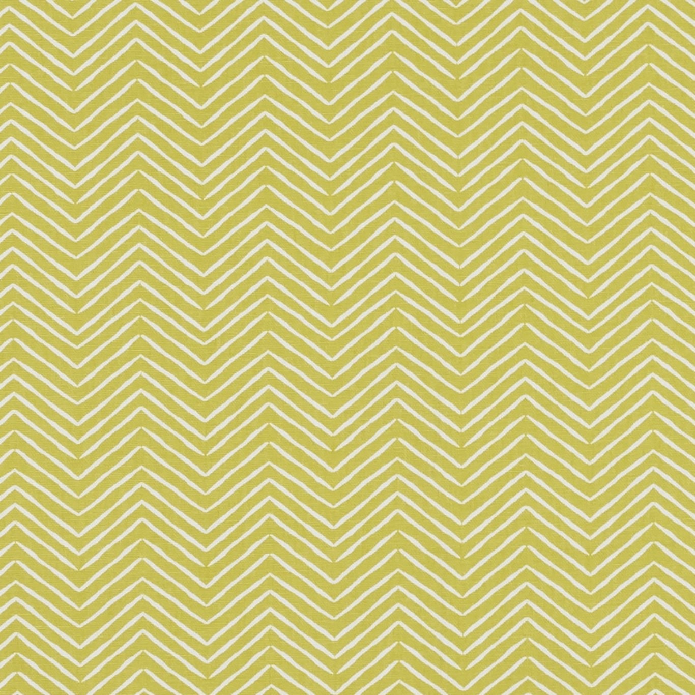 Pica citrus