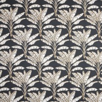 cocotiers anthracite