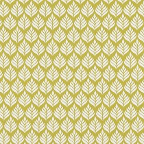 Elise citrus