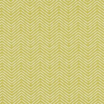 Pica citrus
