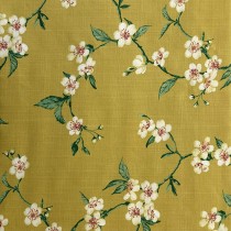 sapporo jaune