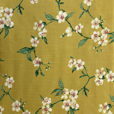 sapporo jaune